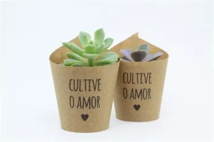 Plantinha personalizada (suculenta ou mini vaso) Ideias de brindes para promover a saúde mental no ambiente de trabalho 